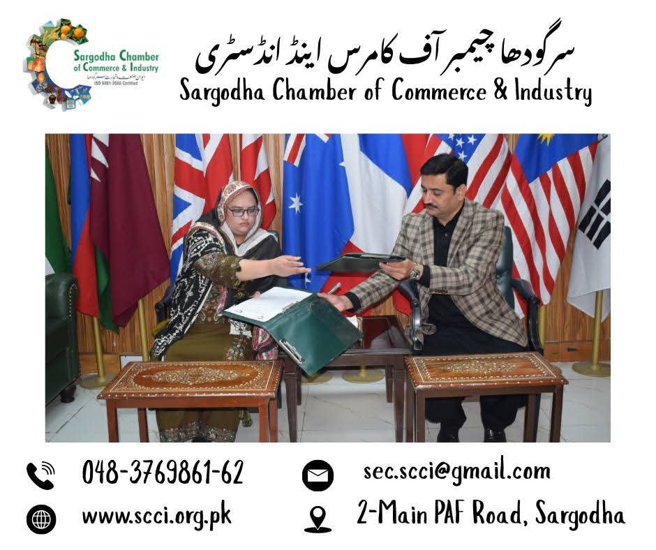 1777361071_WhatsApp Image 2026-04-28 at 12.21.45 PM.jpeg